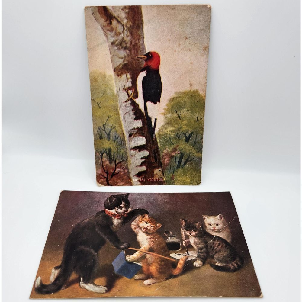 C.1909 2-Vintage Postcards Woodpecker Cats Conotton Ohio Ephemera